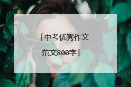 中考优秀作文范文800字
