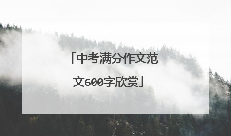 中考满分作文范文600字欣赏