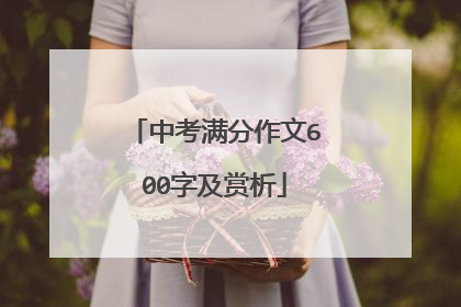 中考满分作文600字及赏析