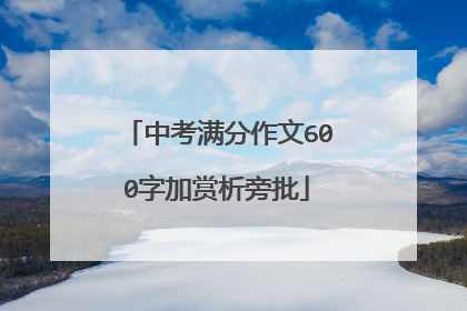 中考满分作文600字加赏析旁批