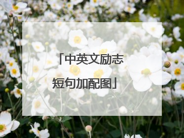 中英文励志短句加配图