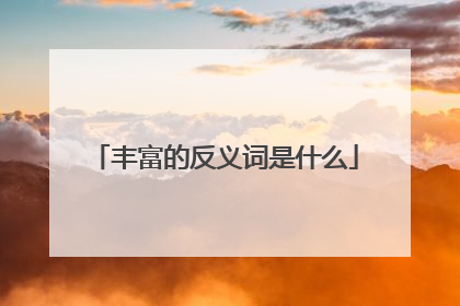 丰富的反义词是什么