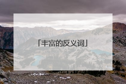 丰富的反义词