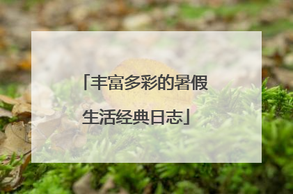 丰富多彩的暑假生活经典日志