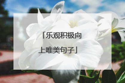 乐观积极向上唯美句子