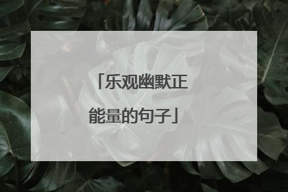 乐观幽默正能量的句子