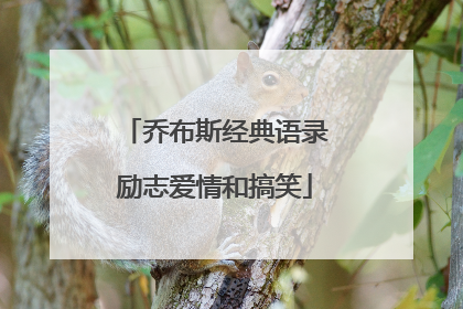 乔布斯经典语录励志爱情和搞笑