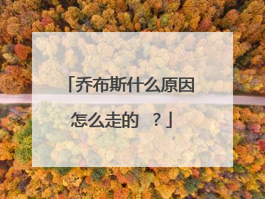 乔布斯什么原因怎么走的 ?