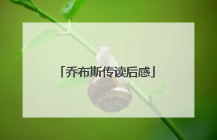 乔布斯传读后感