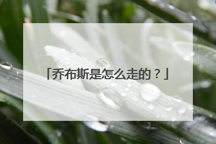 乔布斯是怎么走的?