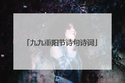 九九重阳节诗句诗词