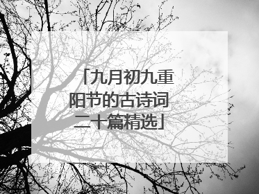 九月初九重阳节的古诗词二十篇精选