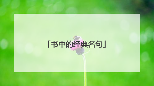 书中的经典名句