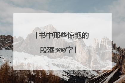 书中那些惊艳的段落300字
