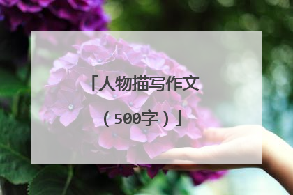 人物描写作文（500字）