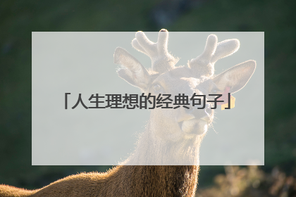 人生理想的经典句子