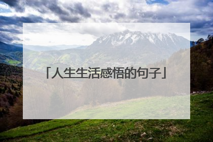 人生生活感悟的句子