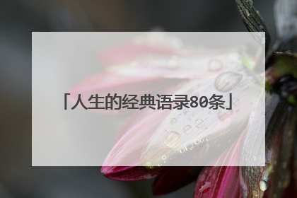 人生的经典语录80条