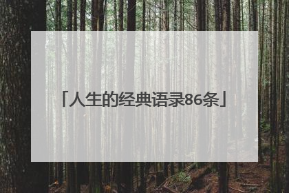 人生的经典语录86条
