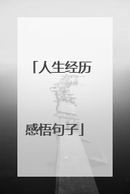 人生经历感悟句子