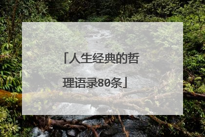 人生经典的哲理语录80条