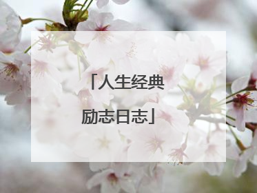 人生经典励志日志