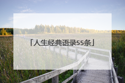 人生经典语录55条