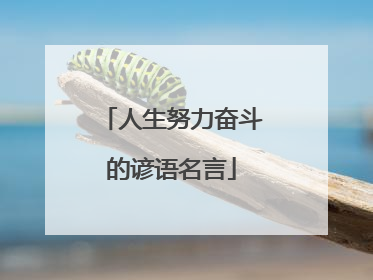 人生努力奋斗的谚语名言