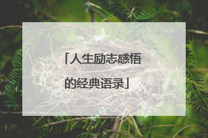 人生励志感悟的经典语录