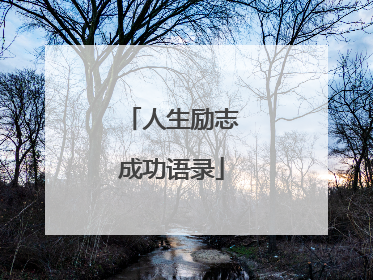 人生励志成功语录