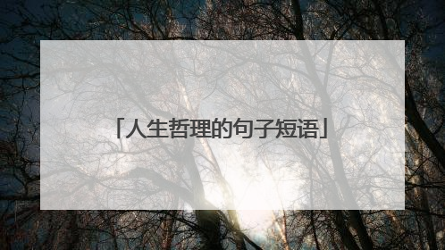人生哲理的句子短语