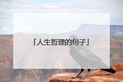 人生哲理的句子