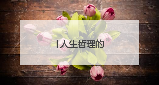 人生哲理的名言警句