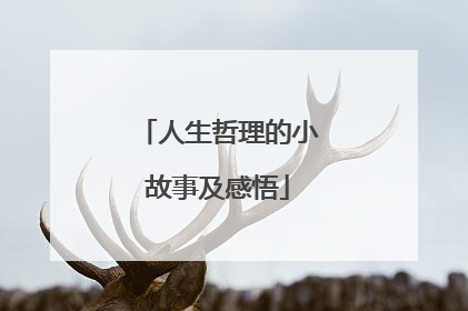 人生哲理的小故事及感悟