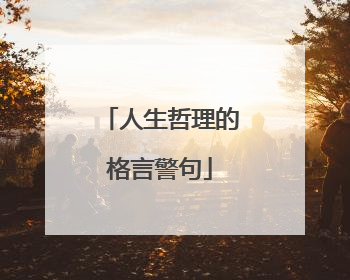 人生哲理的格言警句