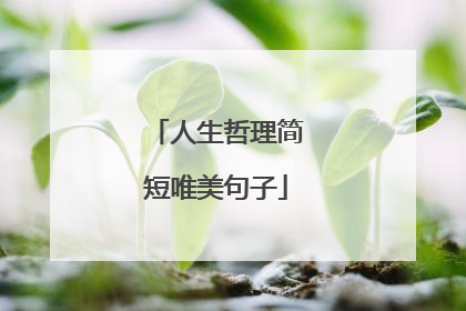 人生哲理简短唯美句子