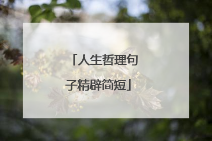 人生哲理句子精辟简短