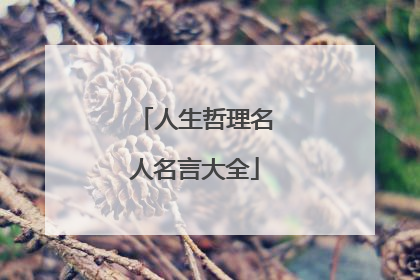人生哲理名人名言大全