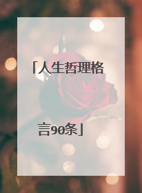 人生哲理格言90条