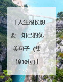 人生很长想要一知己的优美句子 (集锦30句)