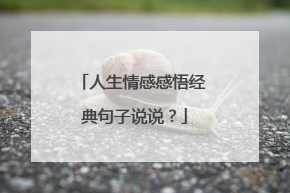 人生情感感悟经典句子说说?