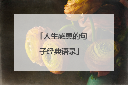 人生感恩的句子经典语录