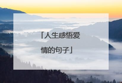 人生感悟爱情的句子