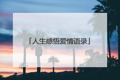 人生感悟爱情语录