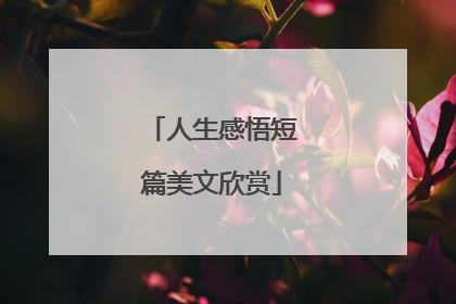 人生感悟短篇美文欣赏