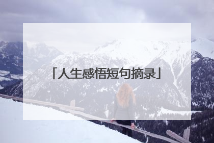 人生感悟短句摘录