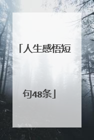 人生感悟短句48条