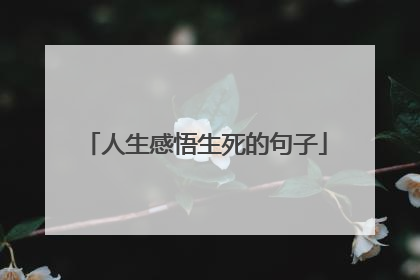 人生感悟生死的句子