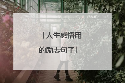 人生感悟用的励志句子