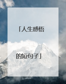 人生感悟的短句子
